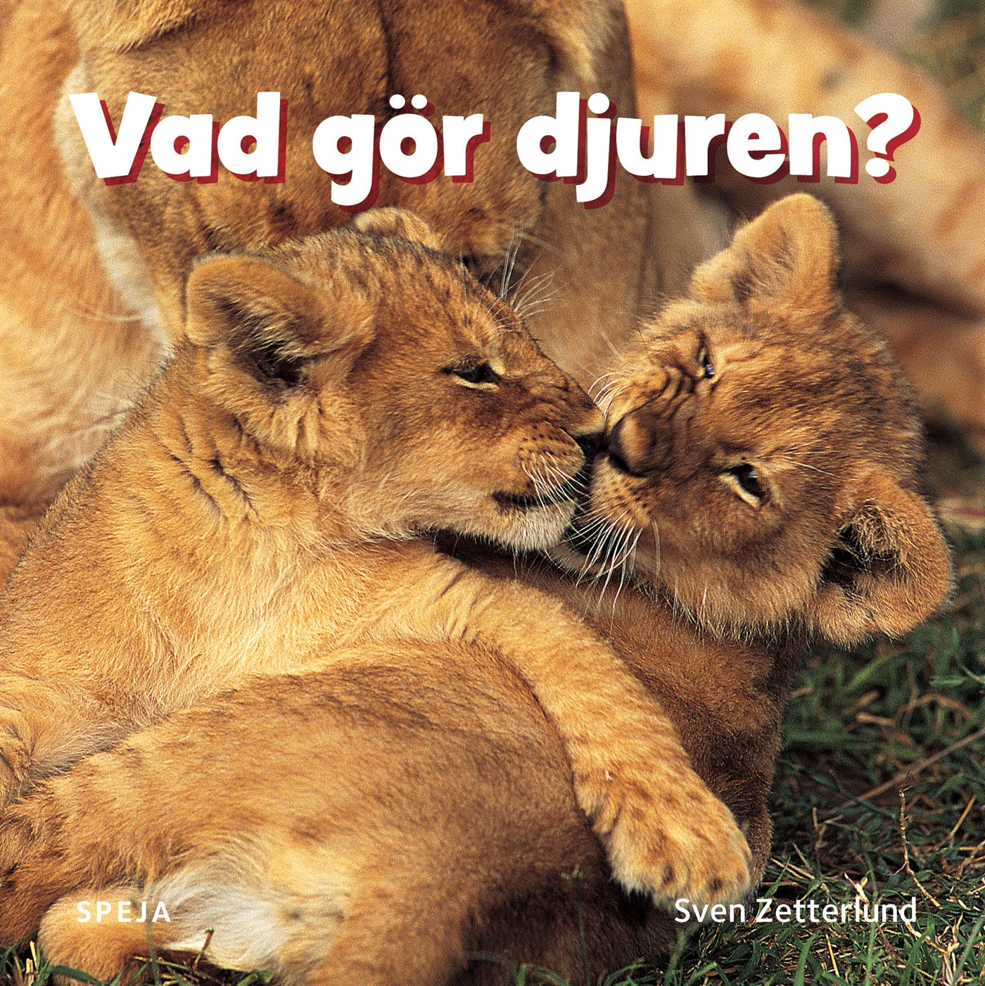 Vad gör djuren? – E-bok