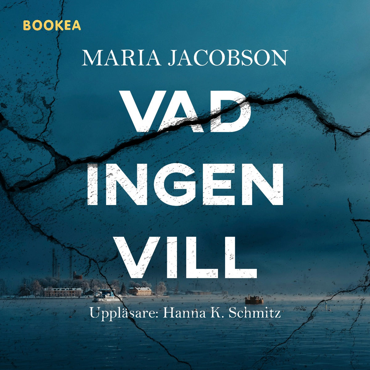 Vad ingen vill – Ljudbok