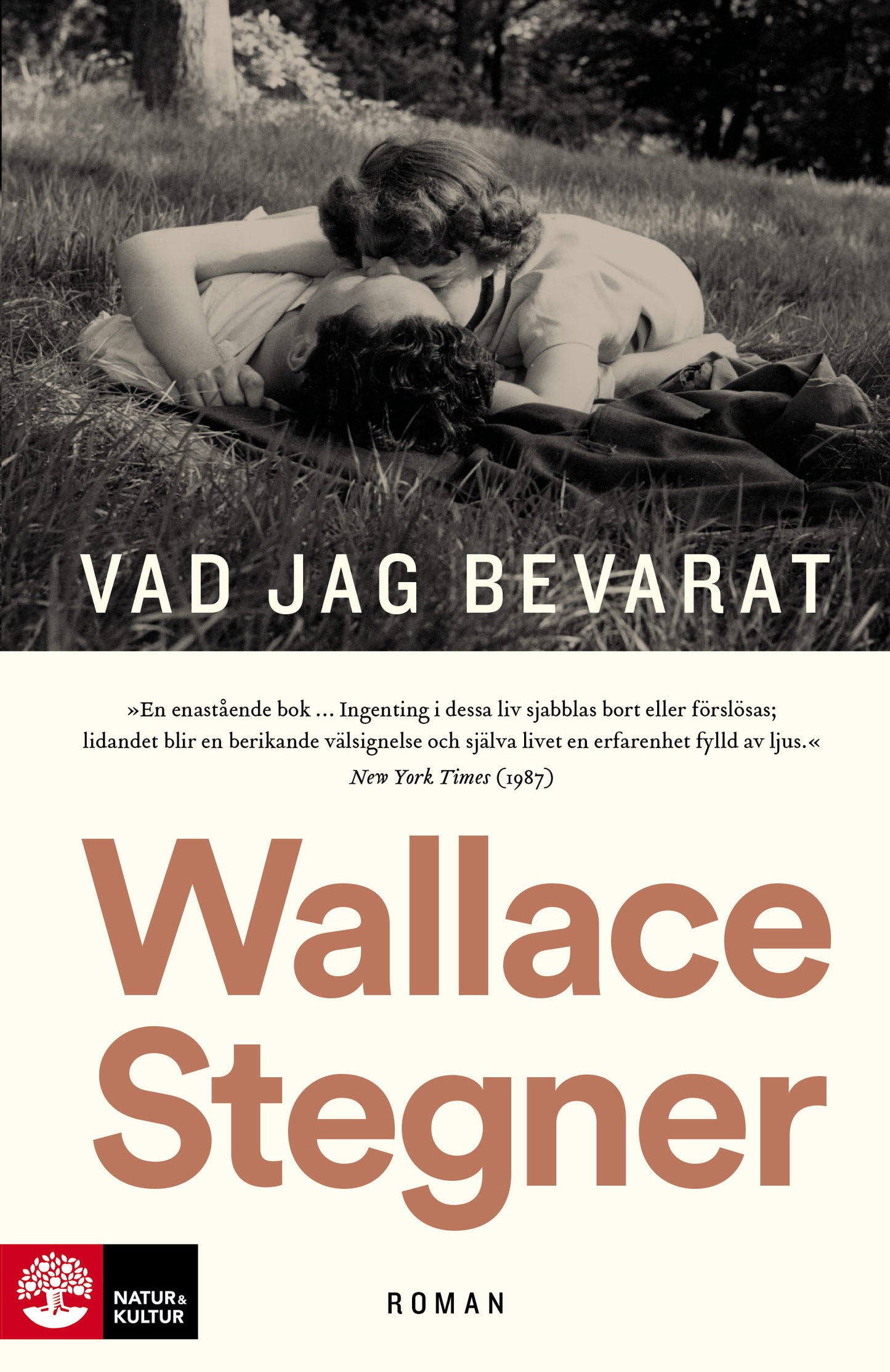 Vad jag bevarat – E-bok