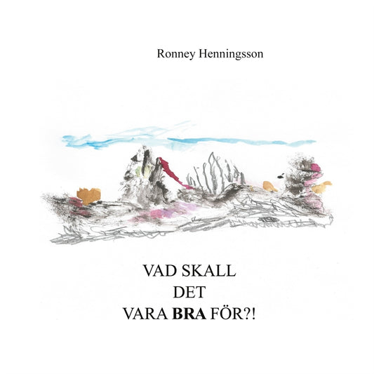 Vad skall det vara bra för?! – E-bok