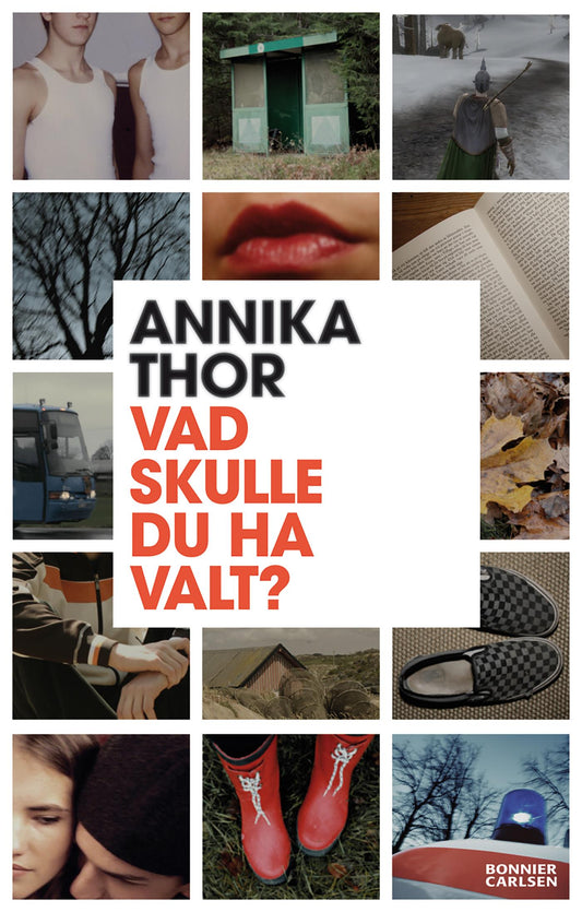 Vad skulle du ha valt? – E-bok