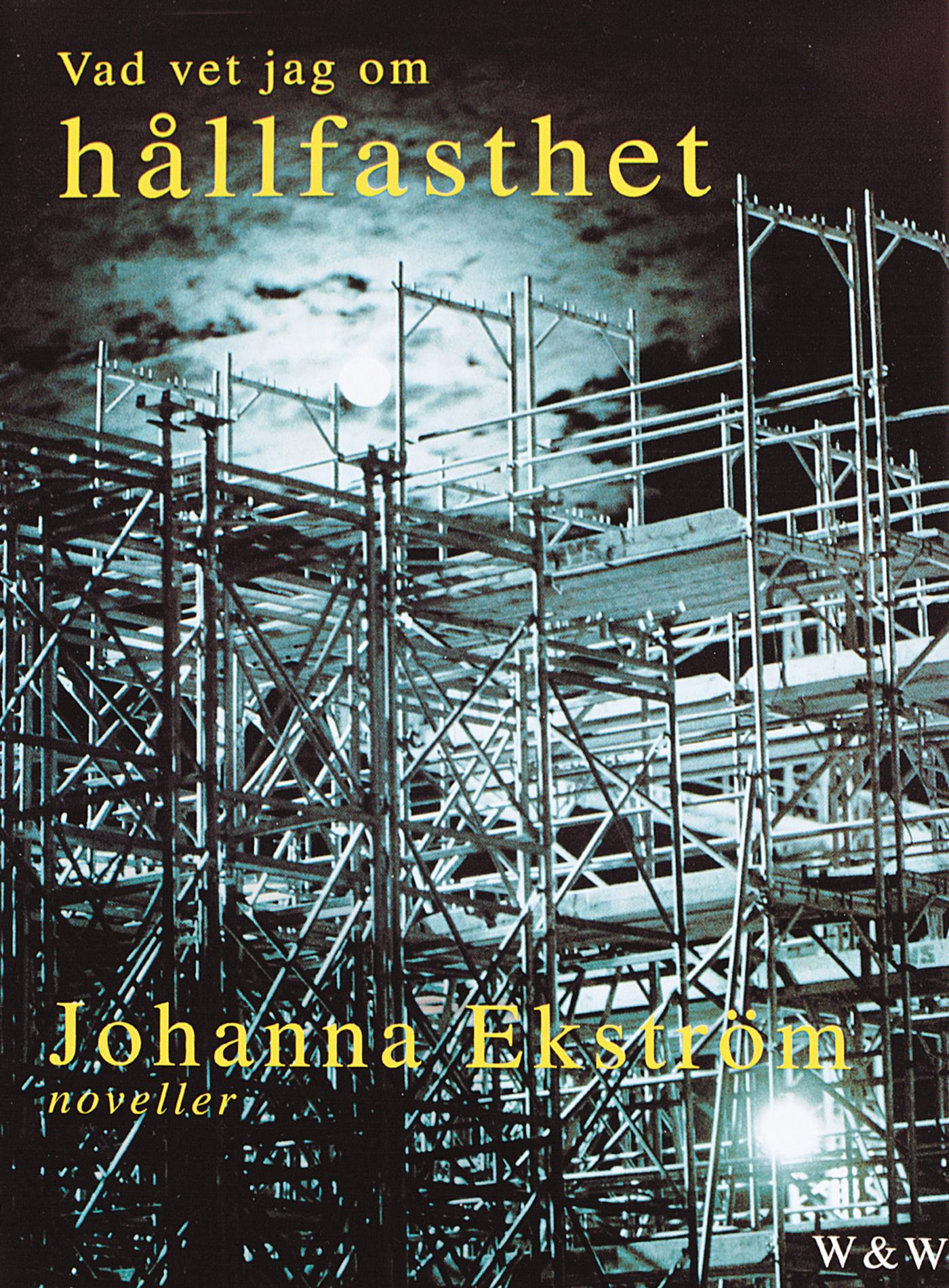 Vad vet jag om hållfasthet – E-bok