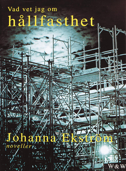 Vad vet jag om hållfasthet – E-bok