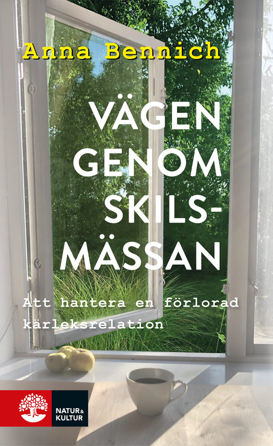 Vägen genom skilsmässan : att hantera en förlorad kärleksrelation – E-bok