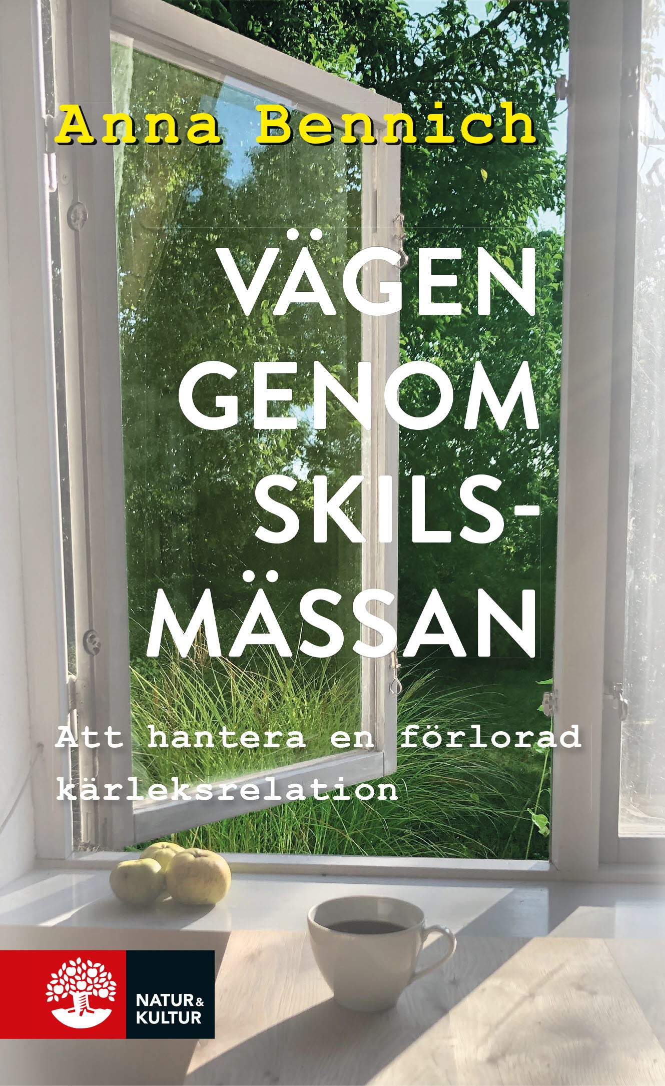 Vägen genom skilsmässan : att hantera en förlorad kärleksrelation – E-bok
