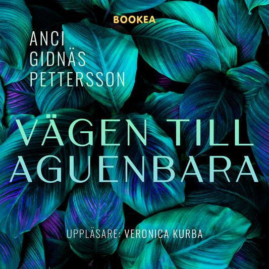 Vägen till Aguenbara – Ljudbok