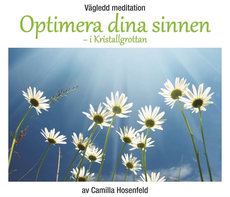 Vägledd meditation: Optimera dina sinnen – Ljudbok