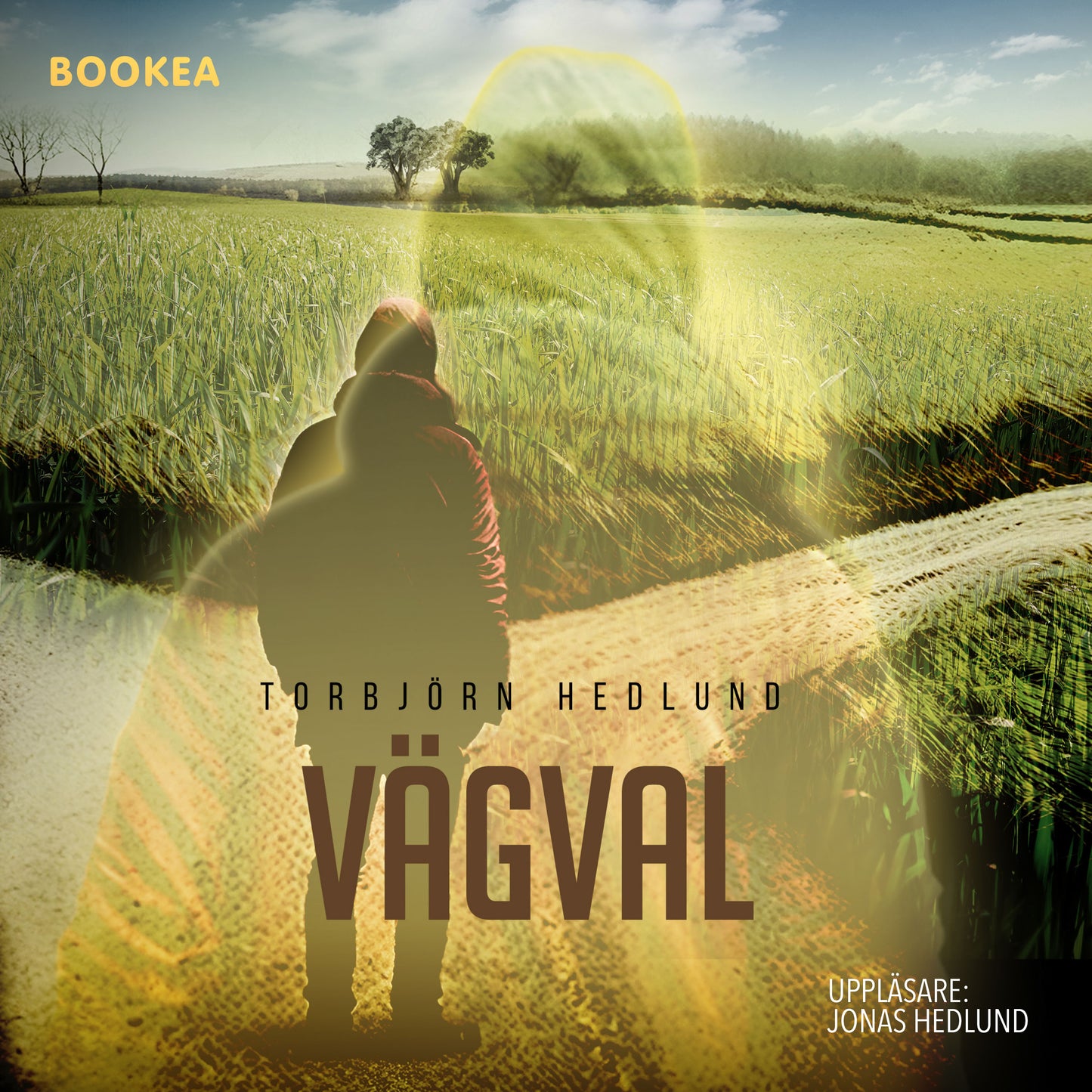Vägval – Ljudbok