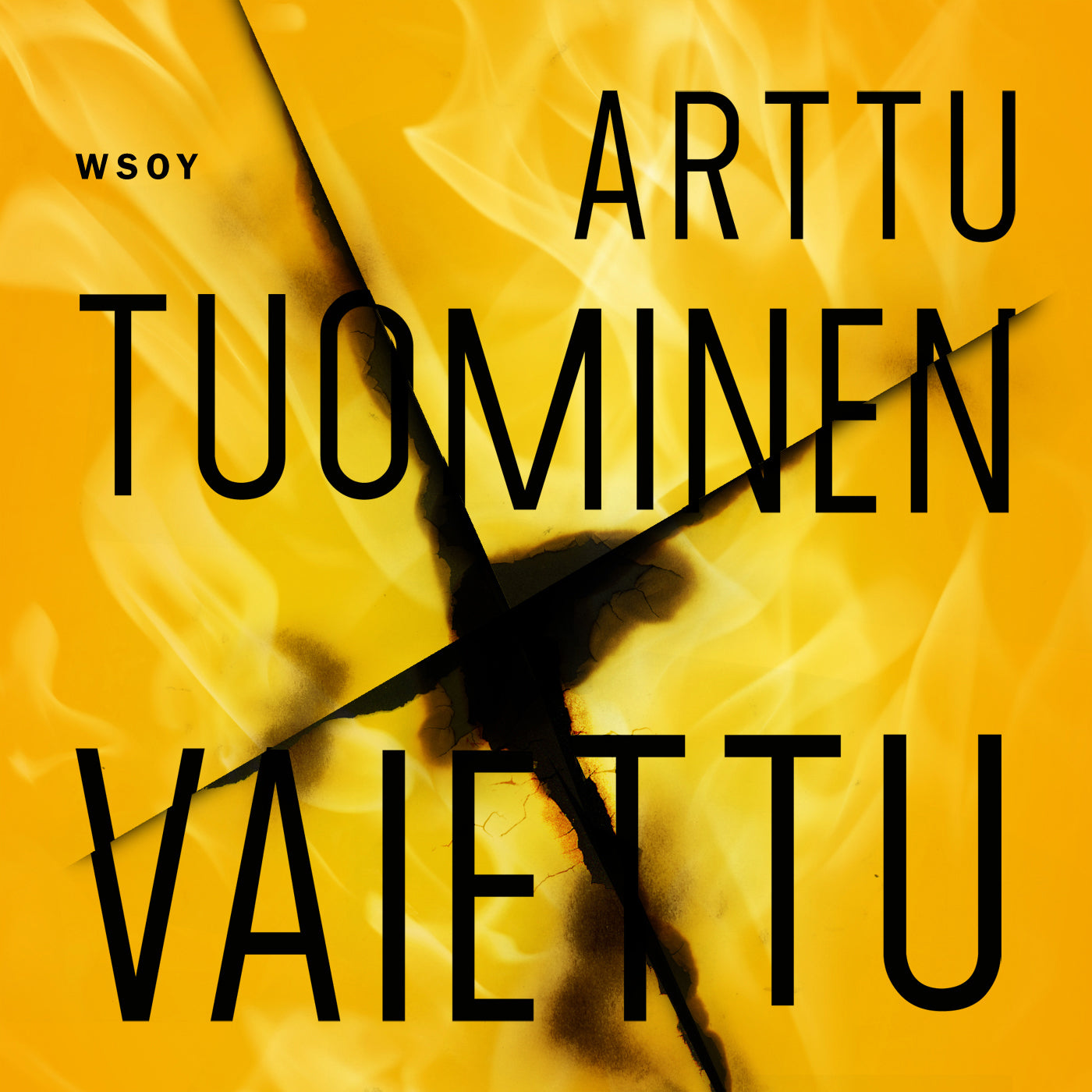 Vaiettu – Ljudbok