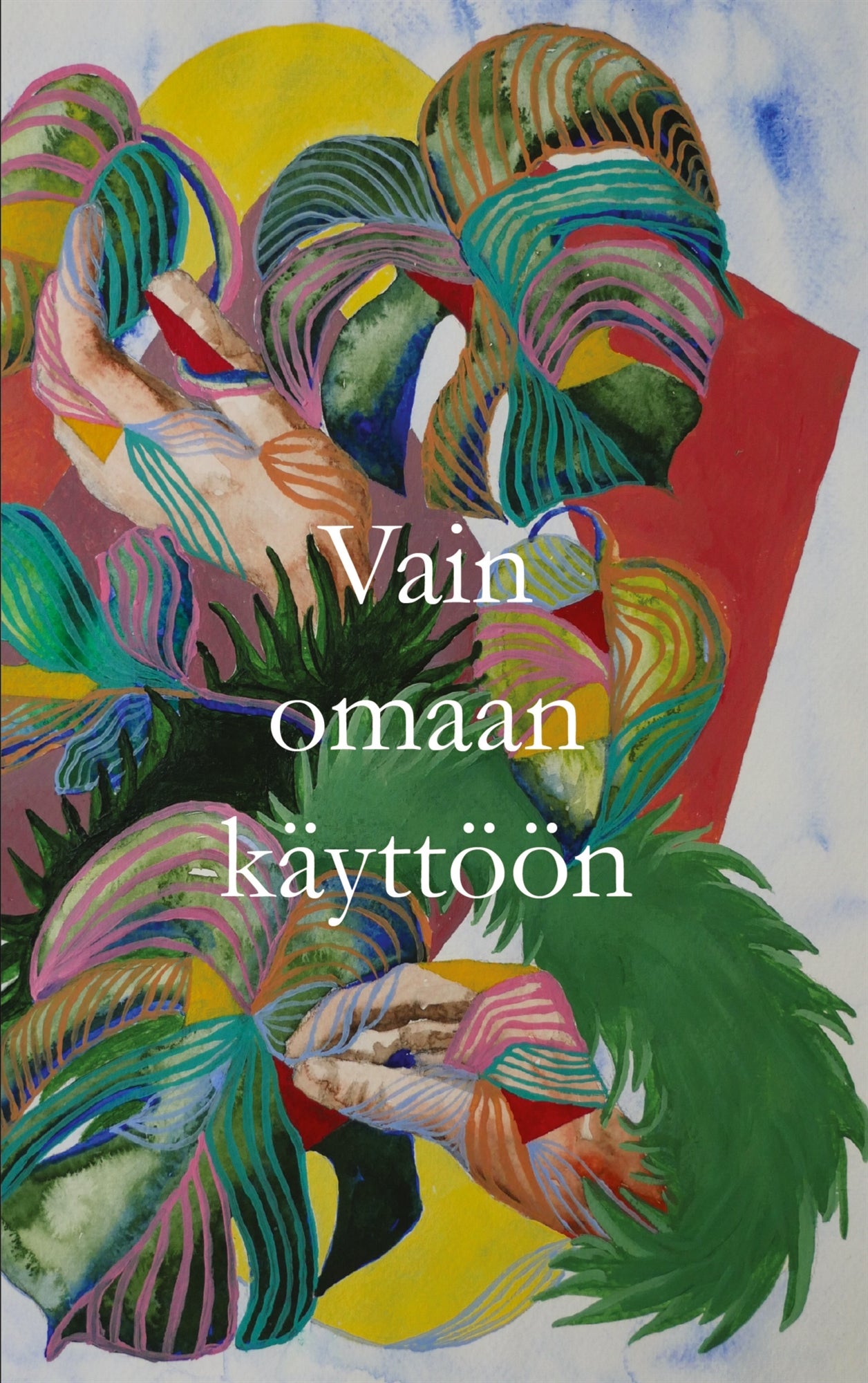 Vain omaan käyttöön – E-bok
