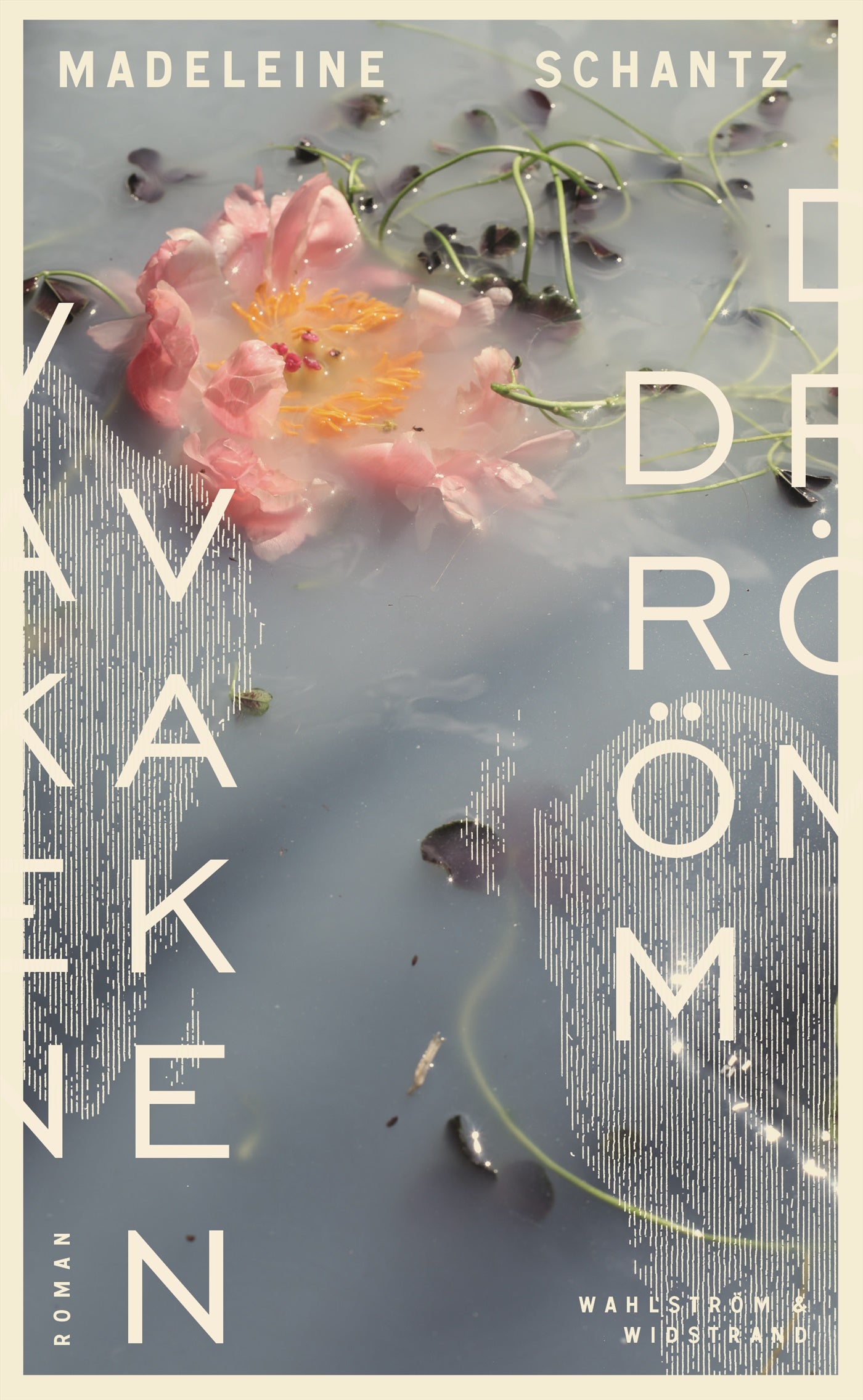 Vaken dröm – E-bok