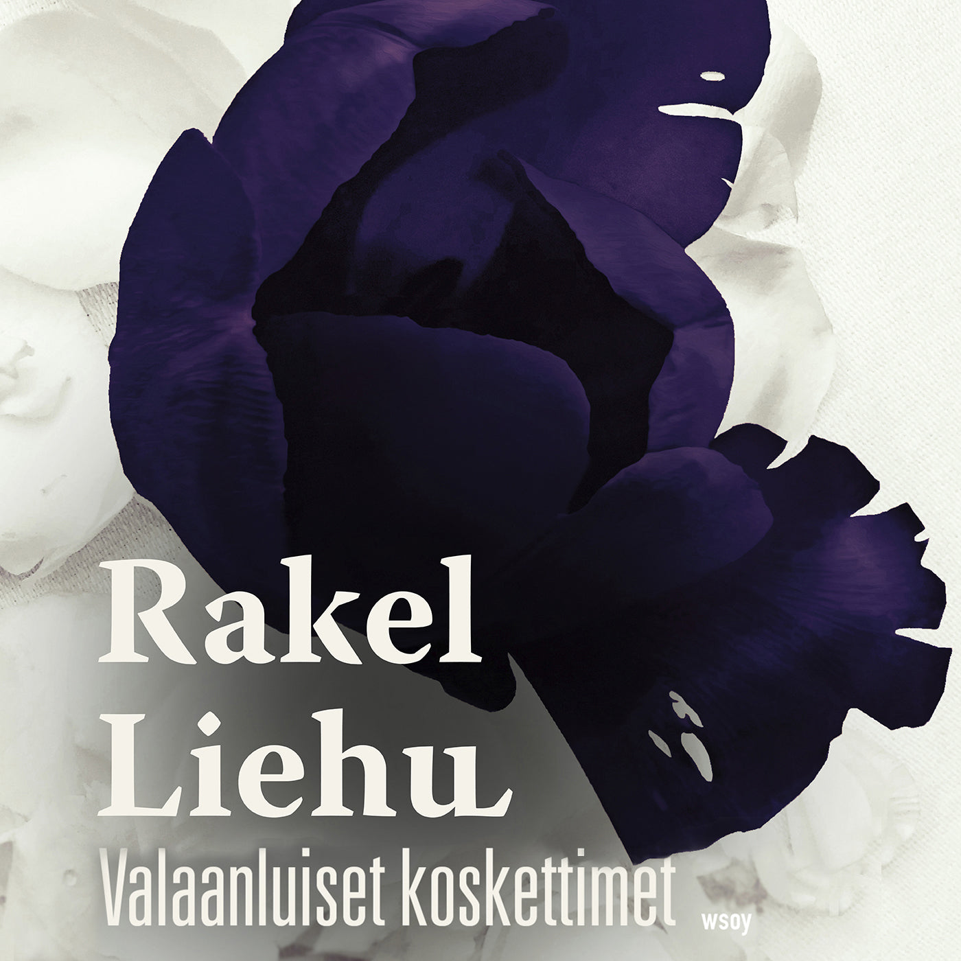 Valaanluiset koskettimet – Ljudbok