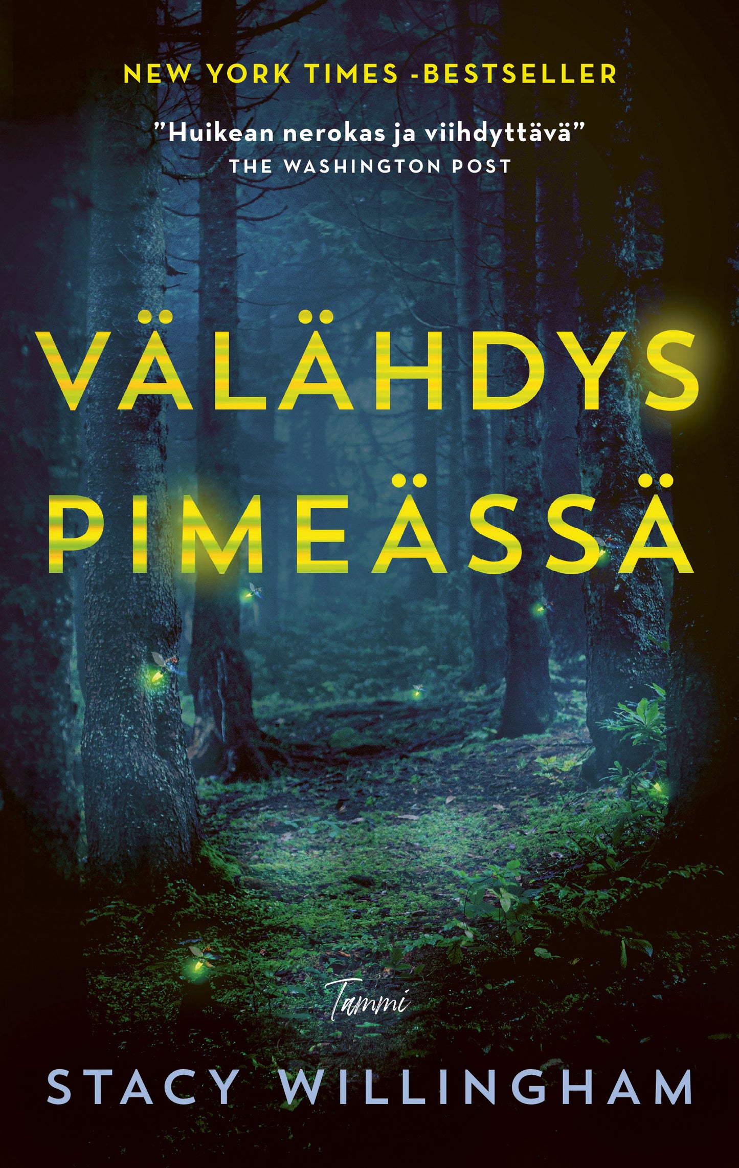 Välähdys pimeässä – E-bok