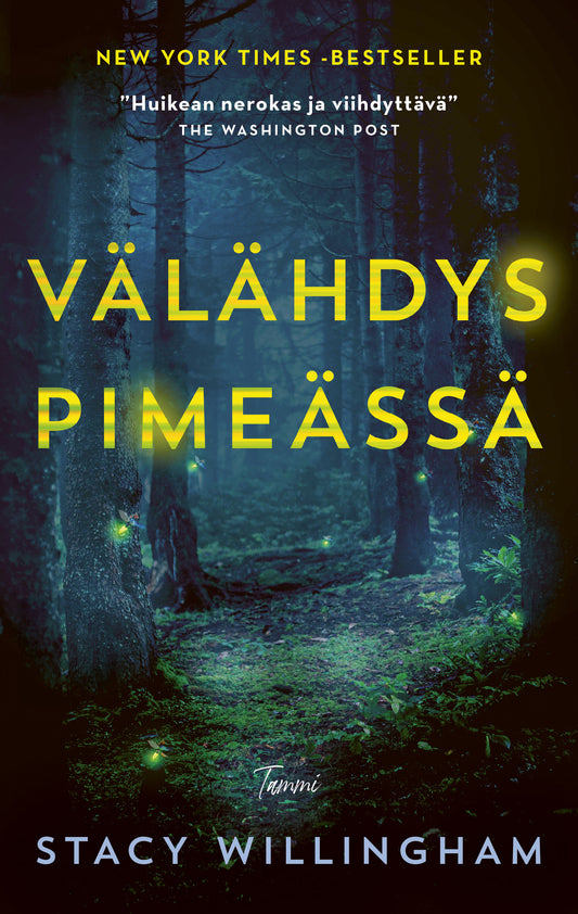 Välähdys pimeässä – E-bok