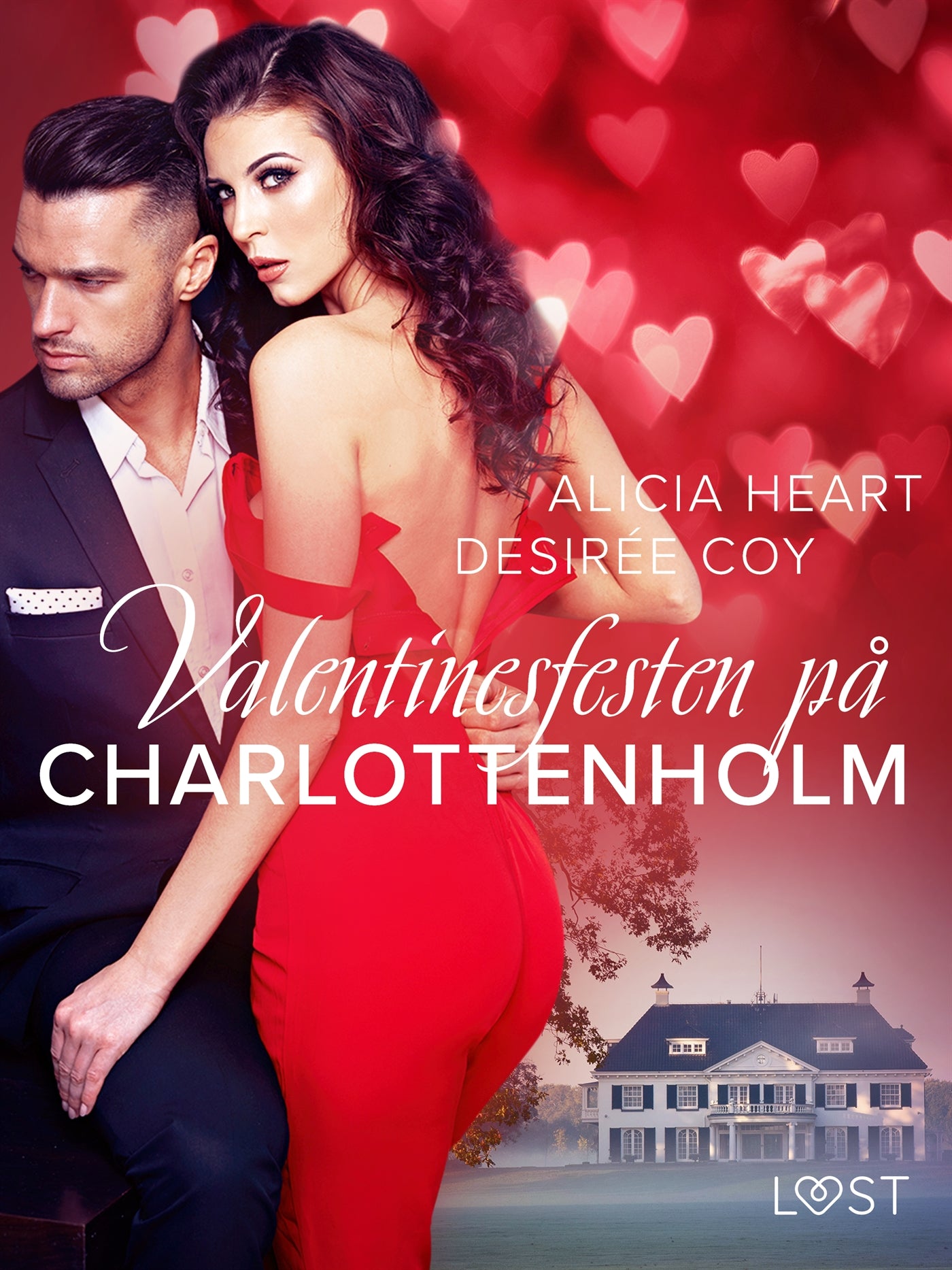 Valentinesfesten på Charlottenholm - erotisk novell – E-bok