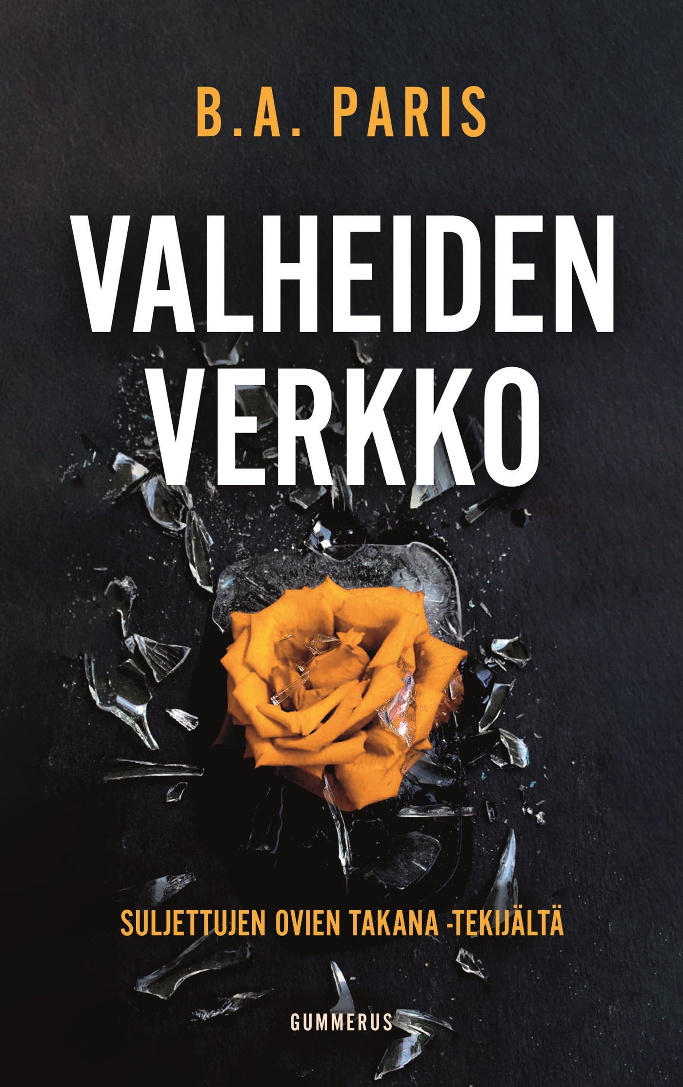Valheiden verkko – E-bok