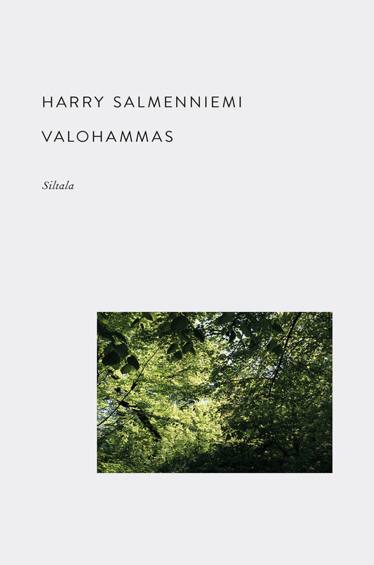 Valohammas – E-bok