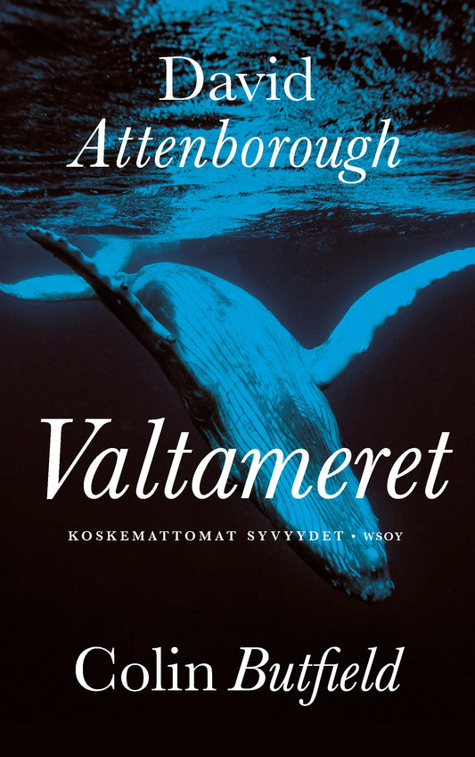 Valtameret – E-bok