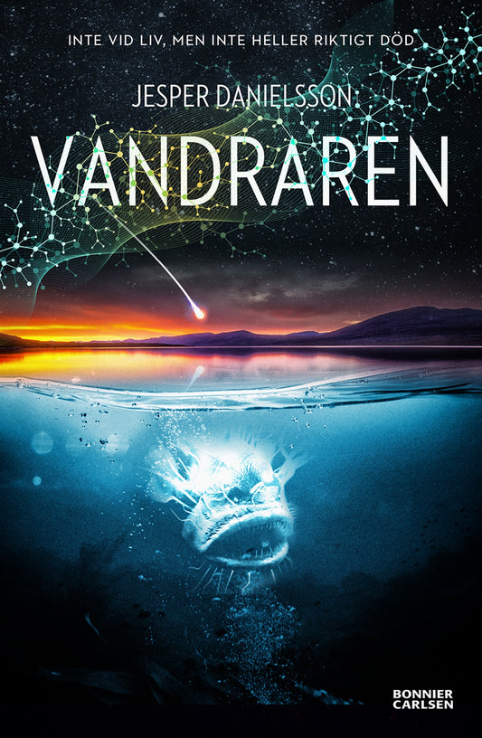 Vandraren – E-bok