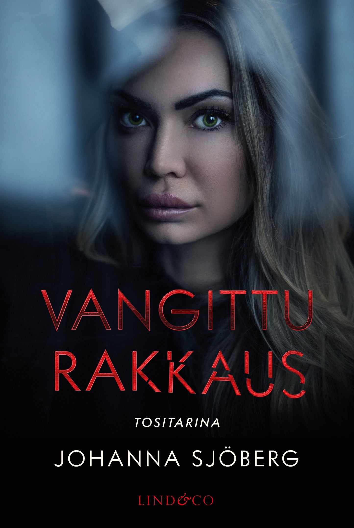 Vangittu rakkaus – E-bok