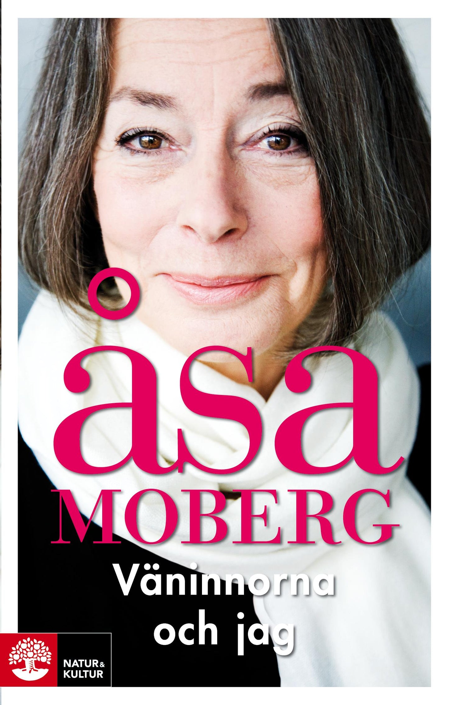 Väninnorna och jag – E-bok