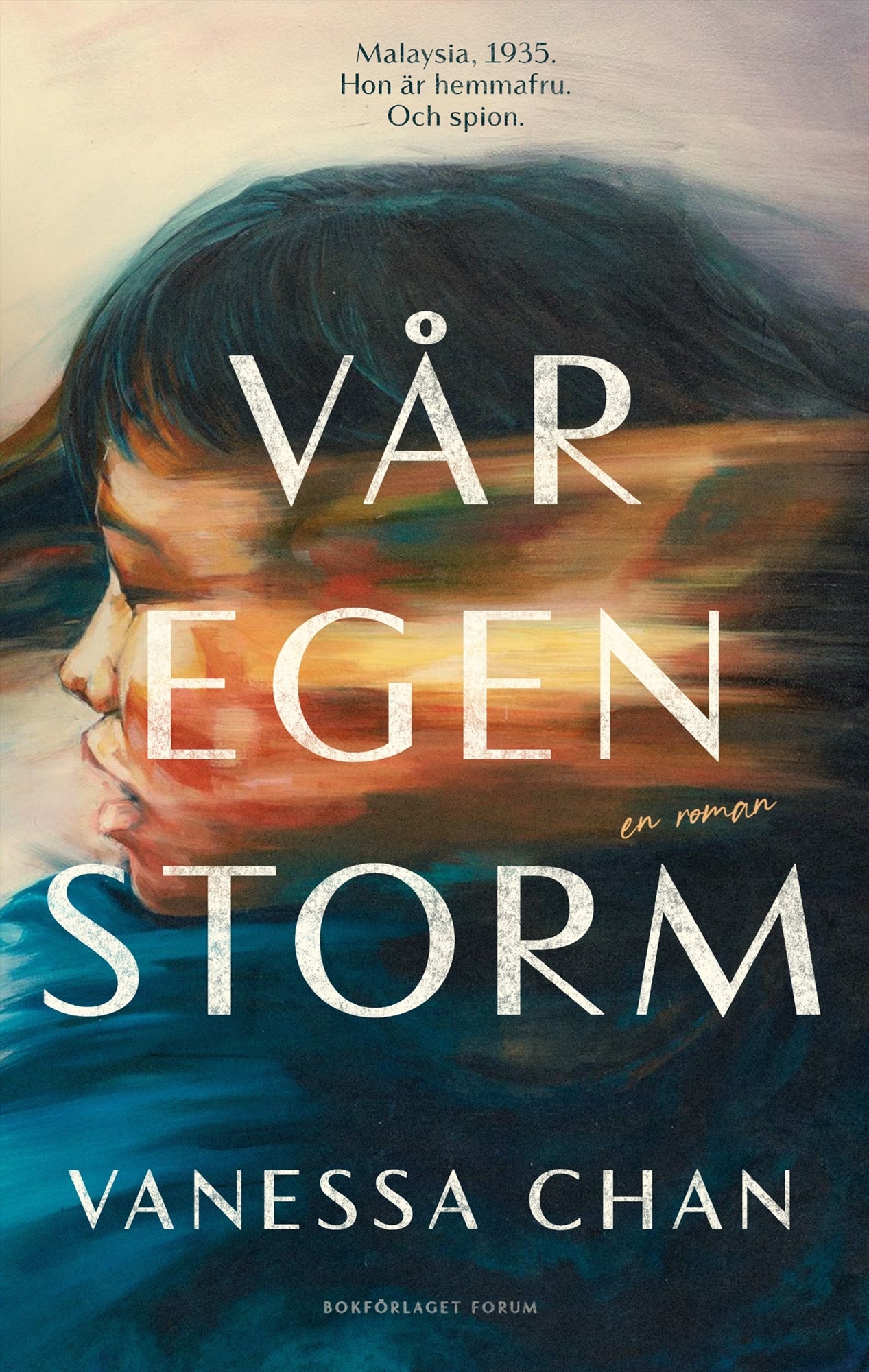 Vår egen storm – E-bok