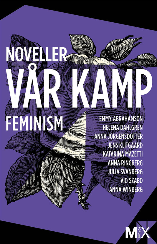 Vår kamp : feministiska noveller – E-bok