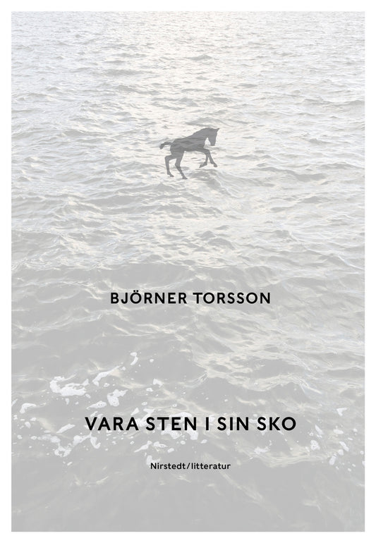 Vara sten i sin sko – E-bok