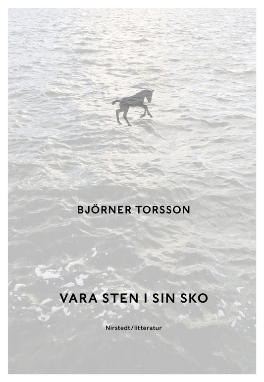 Vara sten i sin sko – E-bok