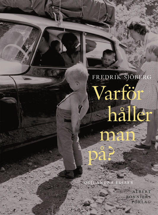 Varför håller man på? och andra essäer – E-bok