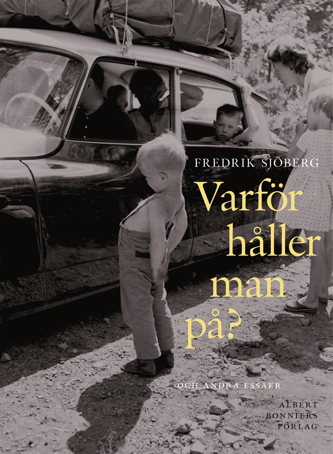 Varför håller man på? och andra essäer – E-bok