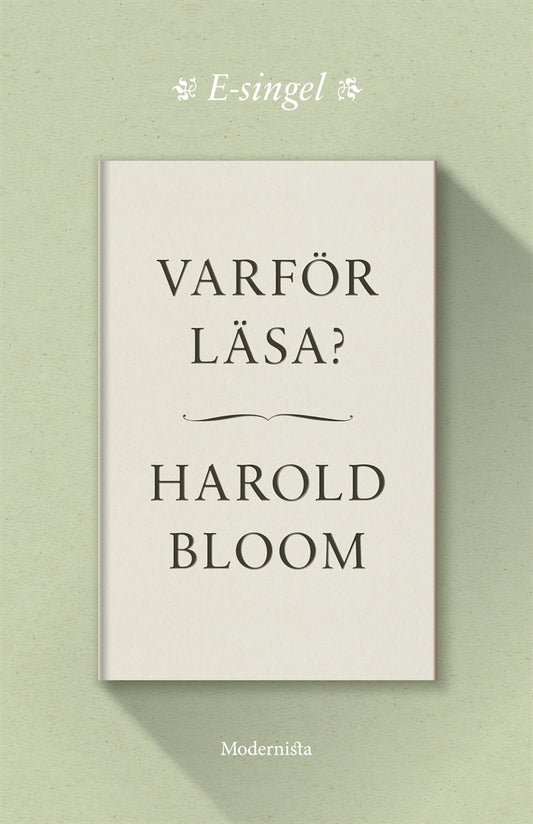 Varför läsa? – E-bok