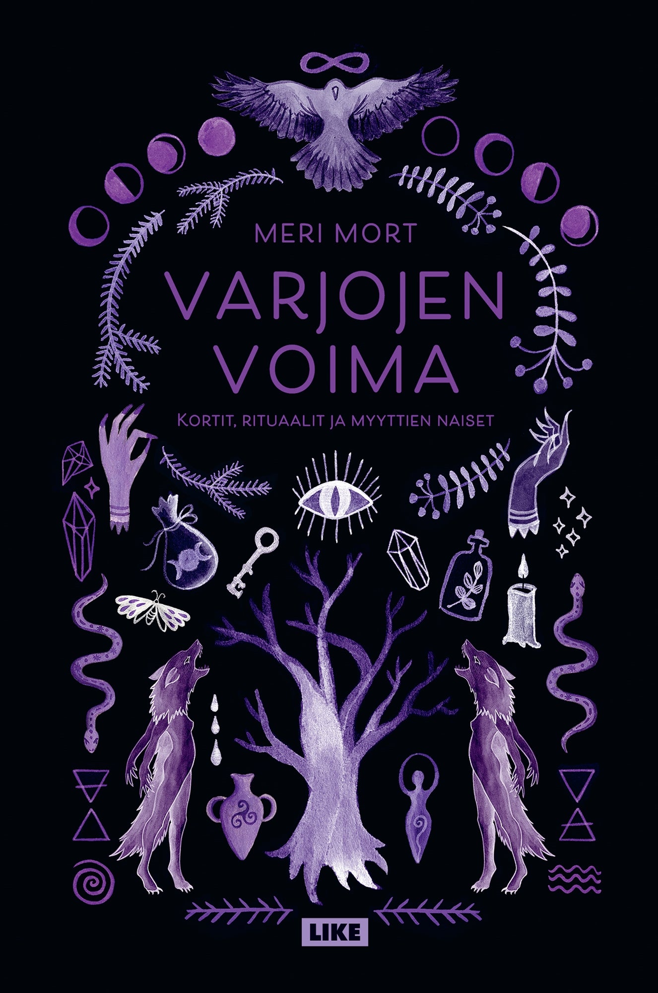 Varjojen voima – E-bok