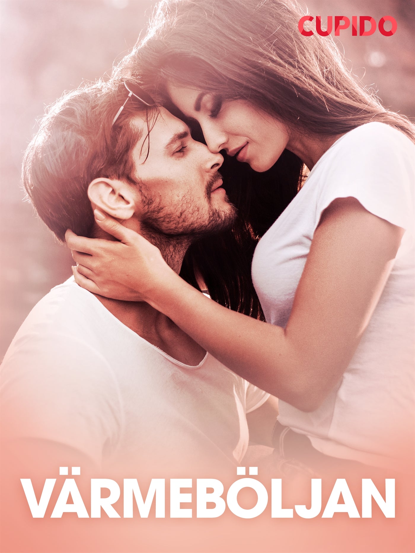 Värmeböljan – erotiska noveller – E-bok