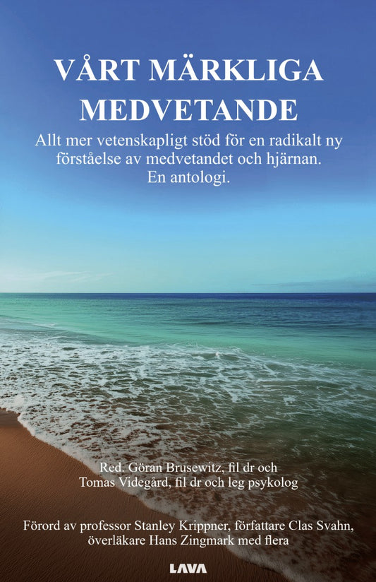 Vårt märkliga medvetande – E-bok