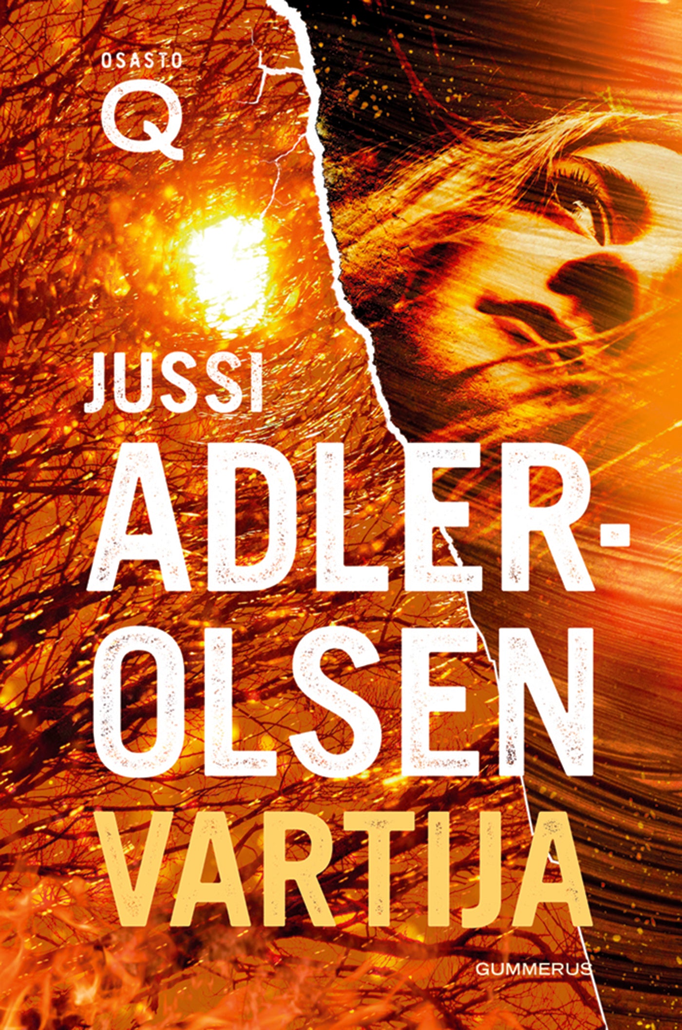 Vartija – E-bok
