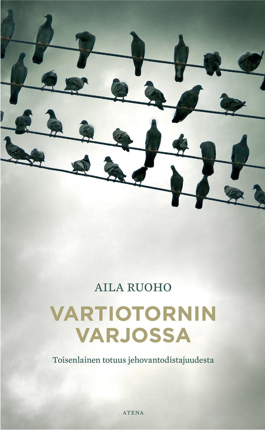 Vartiotornin varjossa – E-bok