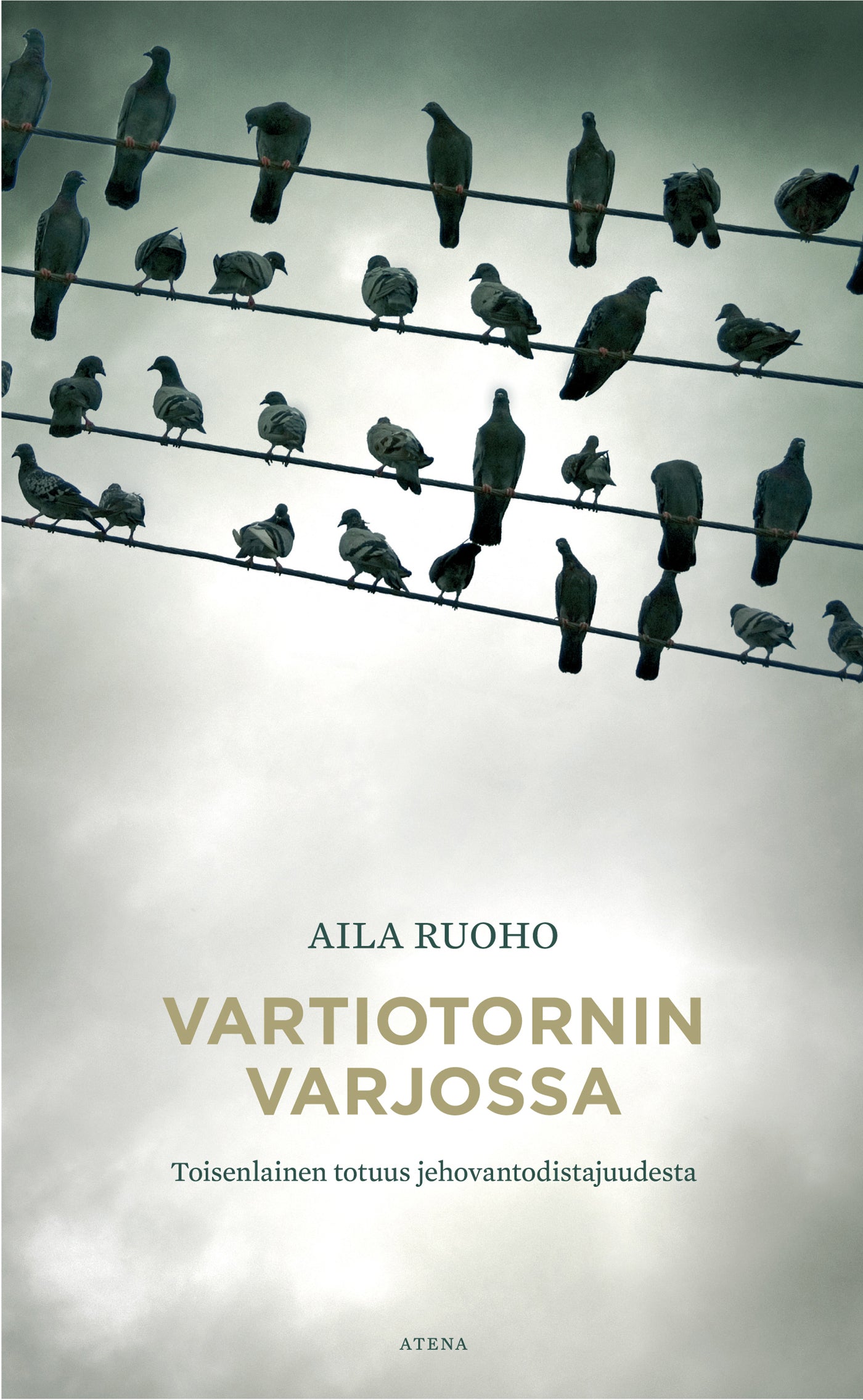Vartiotornin varjossa – E-bok
