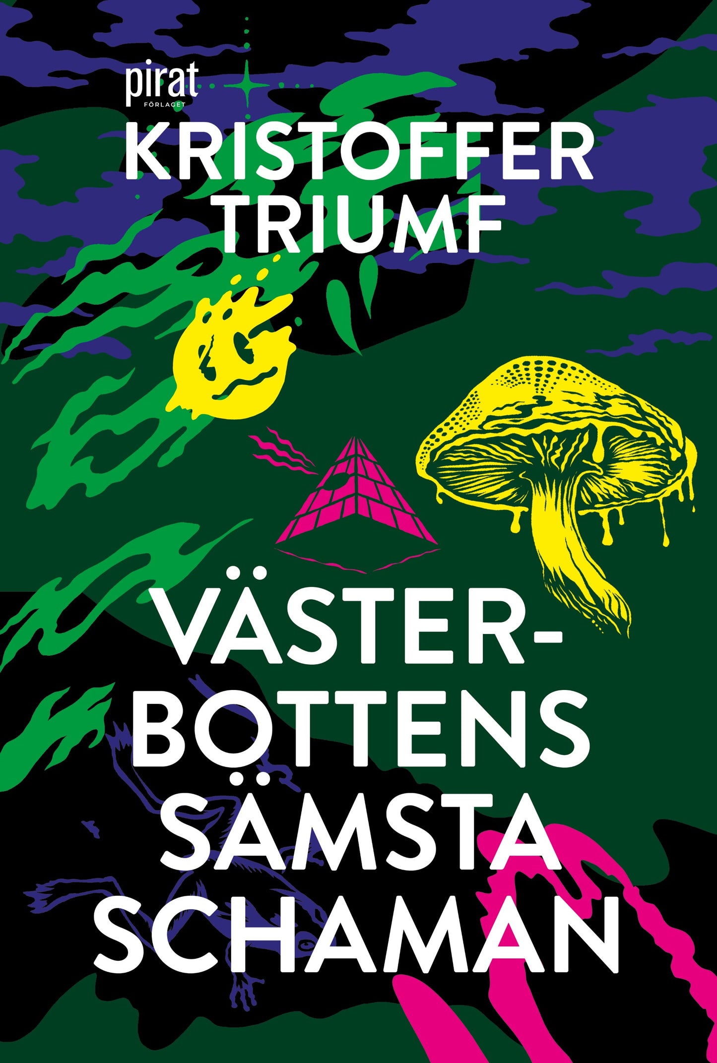 Västerbottens sämsta schaman – E-bok