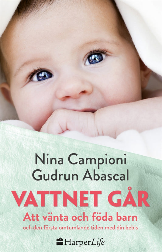 Vattnet går – E-bok