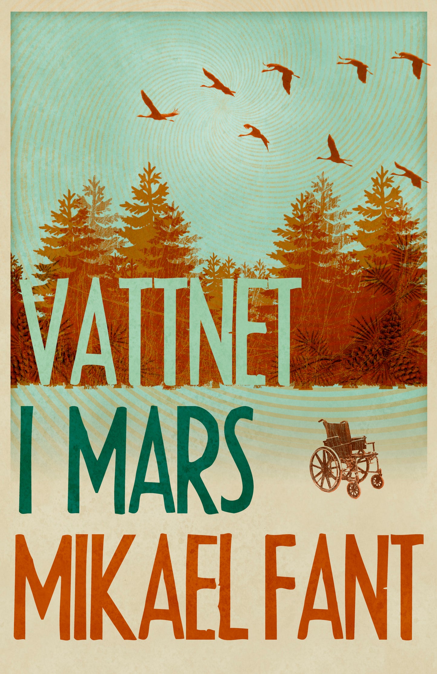 Vattnet i mars – E-bok