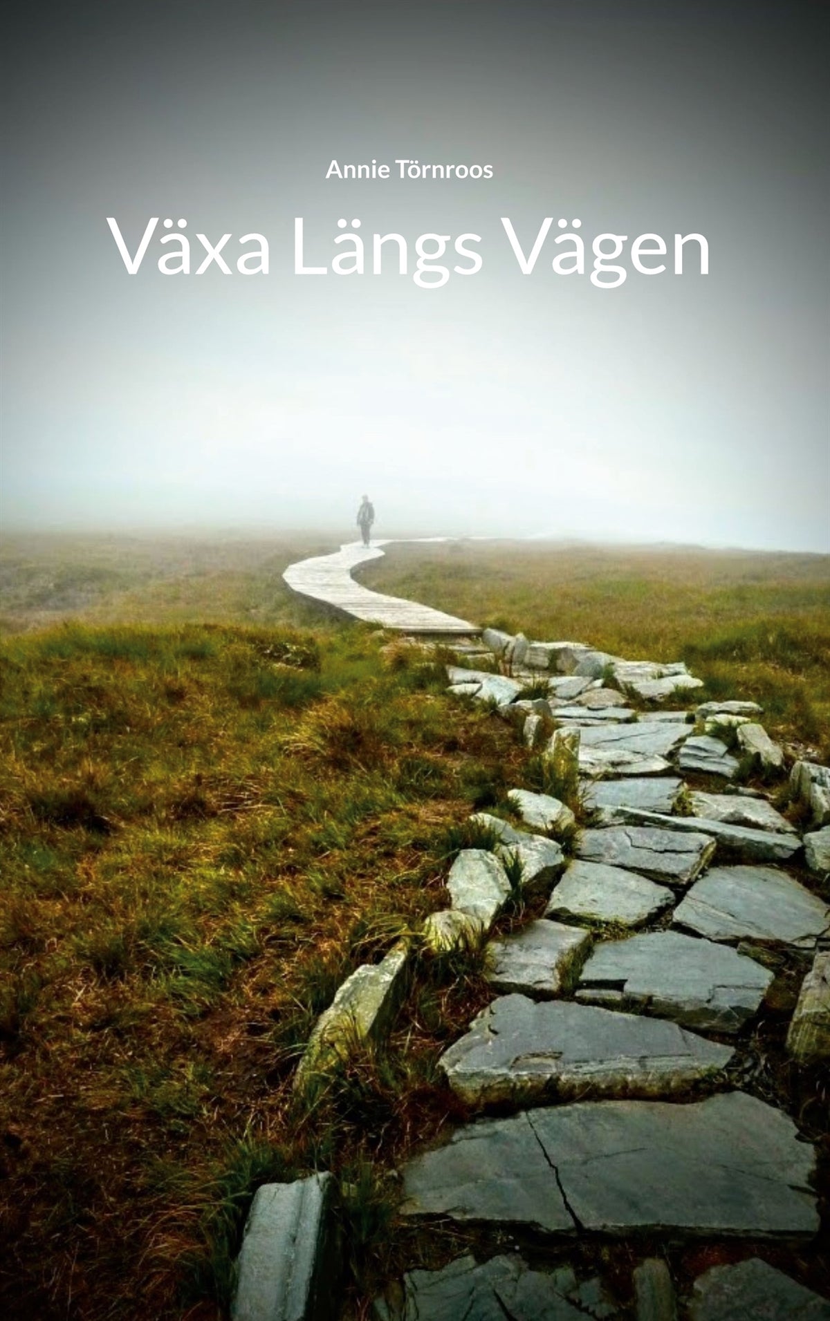Växa Längs Vägen – E-bok