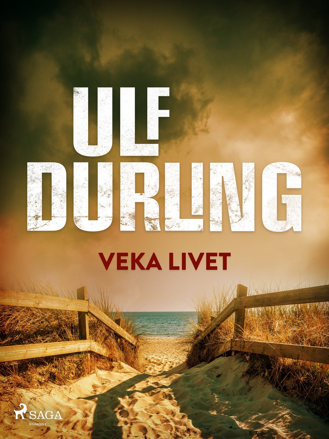 Veka livet – E-bok