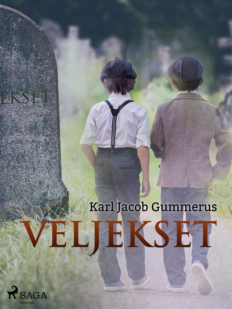 Veljekset – E-bok