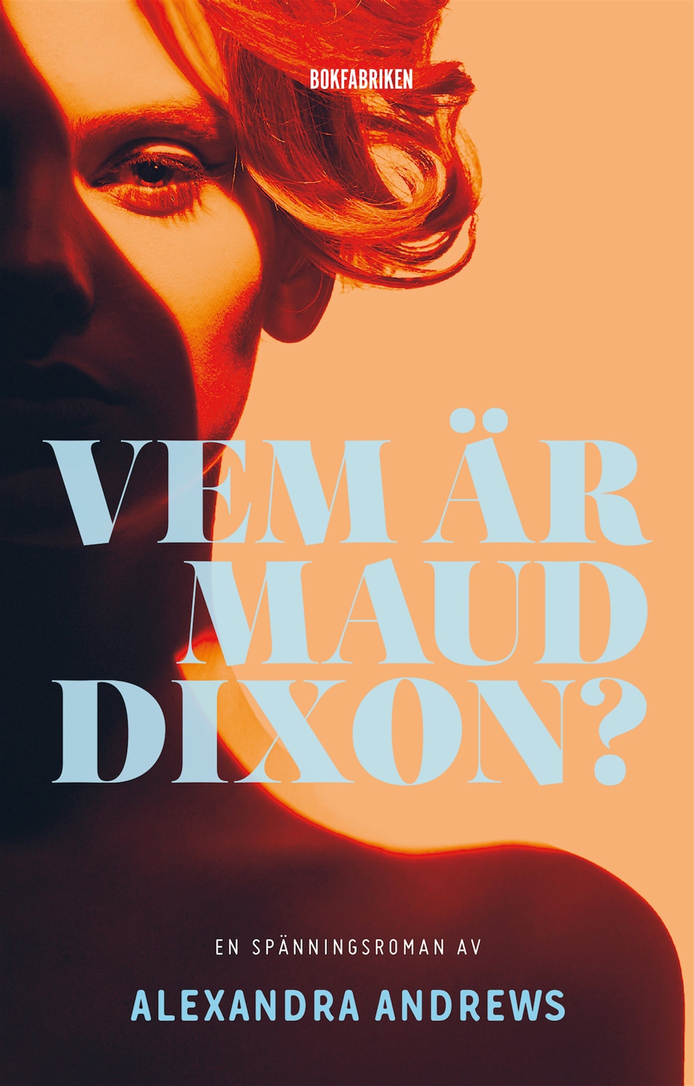 Vem är Maud Dixon? – E-bok