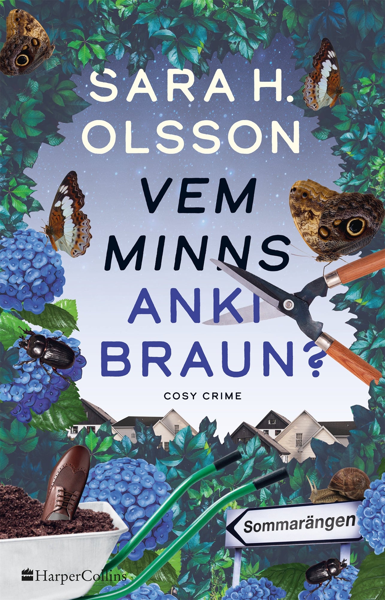 Vem minns Anki Braun? – E-bok