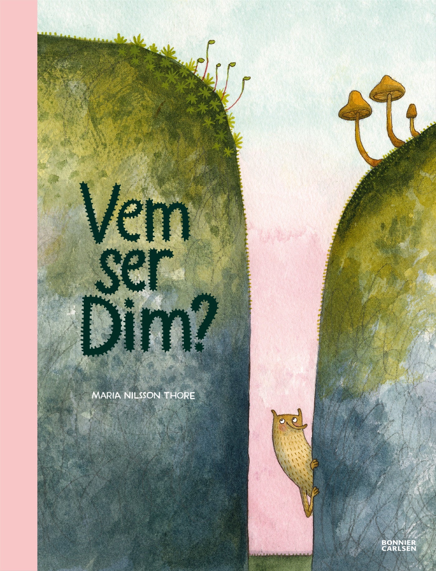 Vem ser Dim? – E-bok