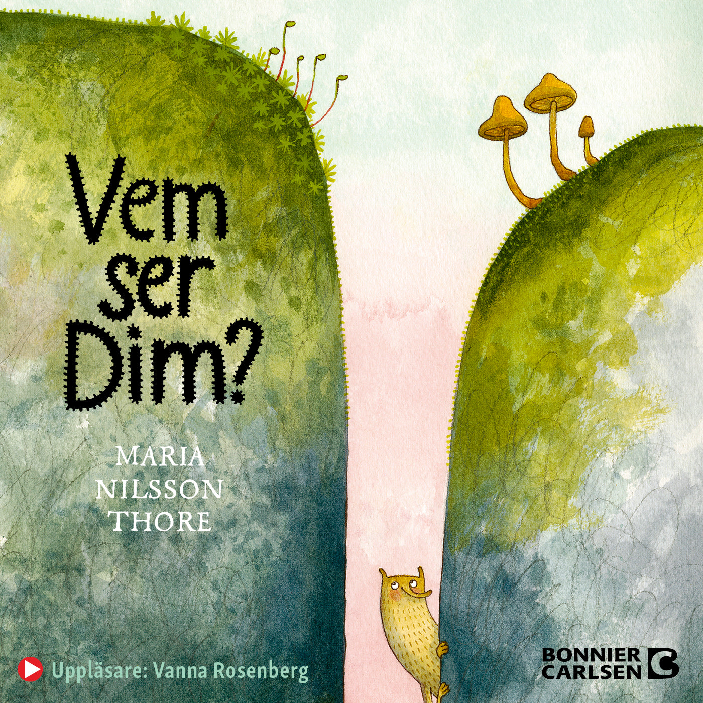 Vem ser Dim? – Ljudbok
