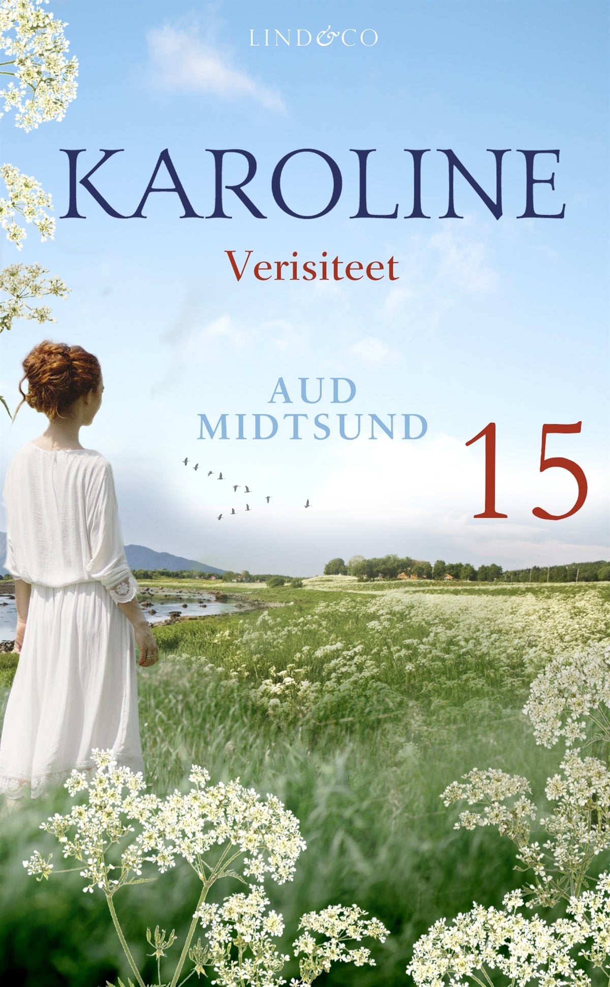 Verisiteet – E-bok