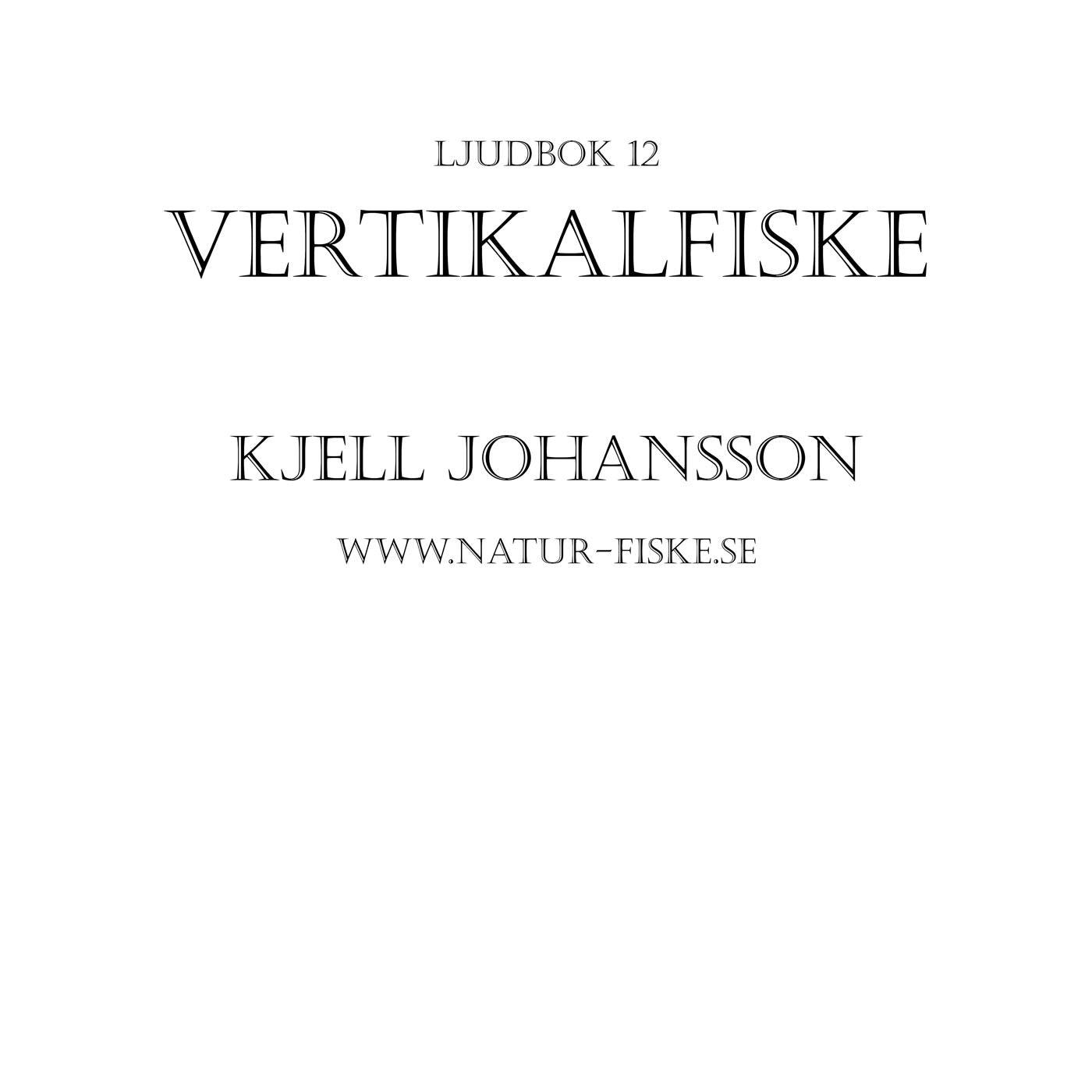 Vertikalfiske – Ljudbok